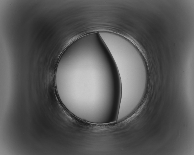 X0000086720993200704130725