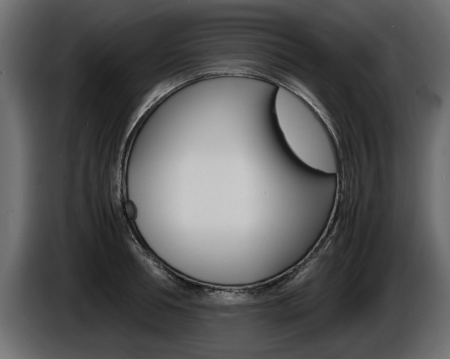 X0000086720994200704130725