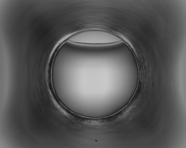 X0000086720995200704130725