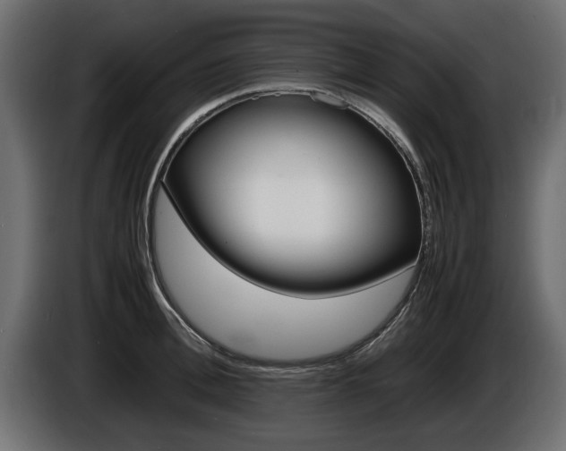 X0000086720996200704130725