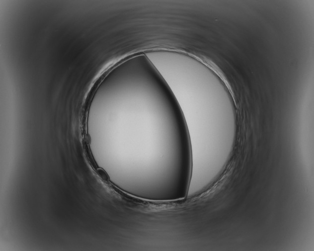 X0000086720997200704130725