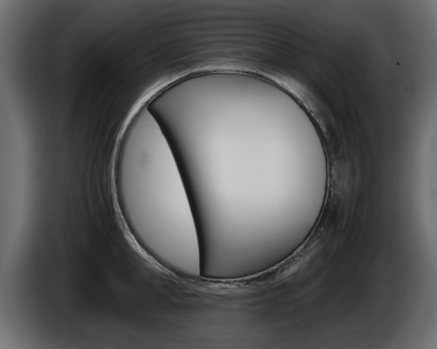X0000086720998200704130725