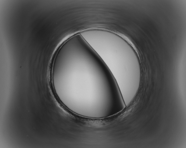 X0000086720999200704130725