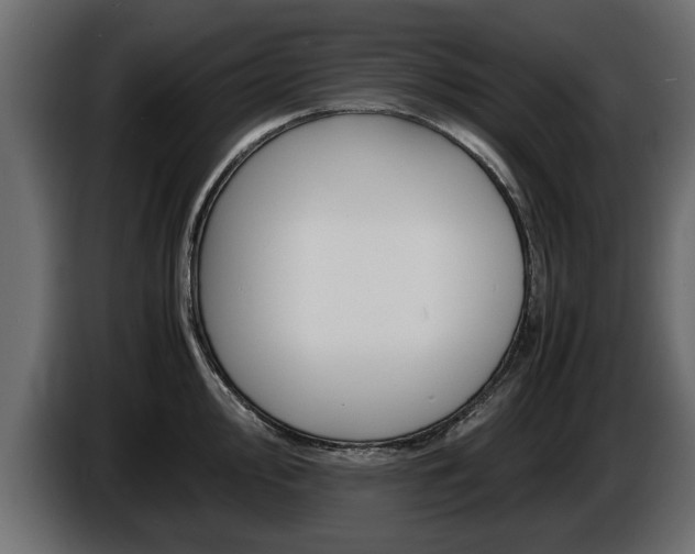 X0000086721000200704130724