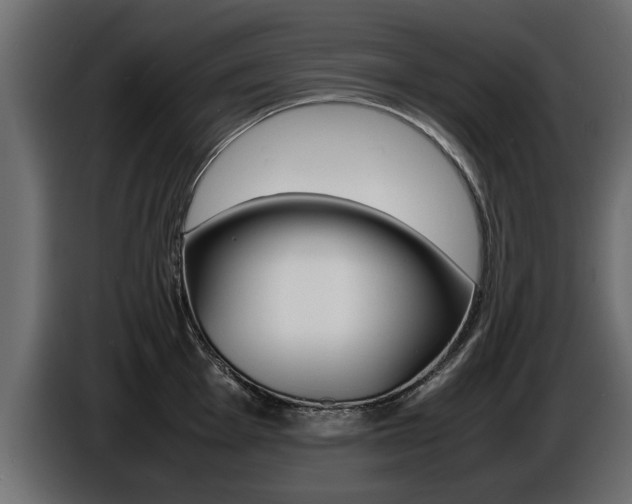 X0000086721001200704130724