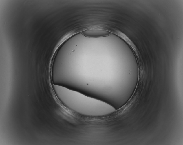 X0000086721002200704130724