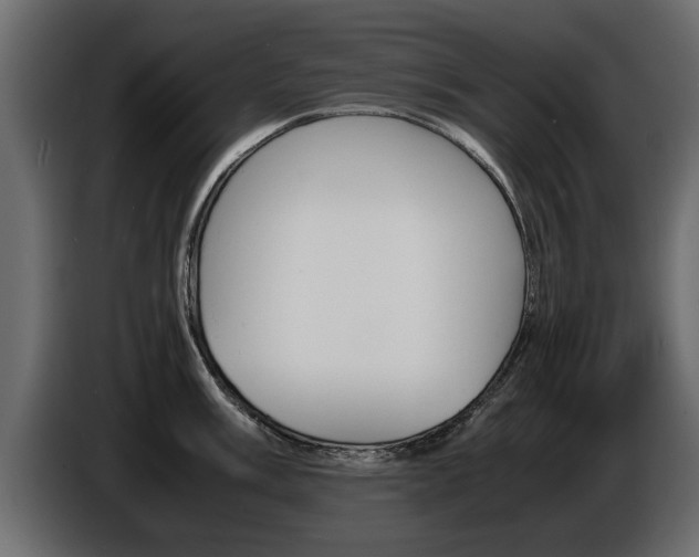 X0000086721003200704130724