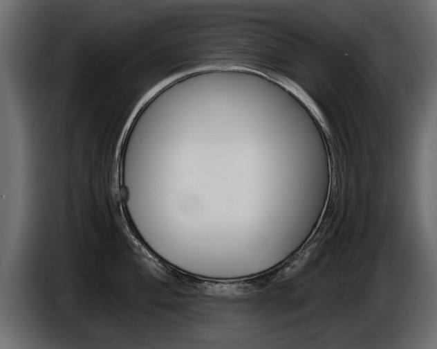 X0000086721004200704130724