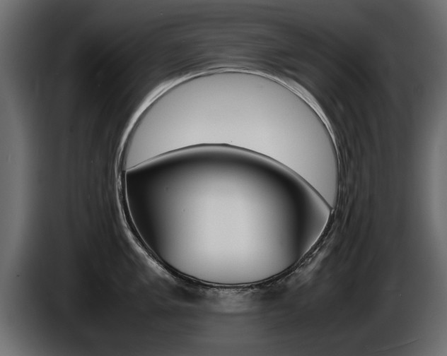 X0000086721005200704130724