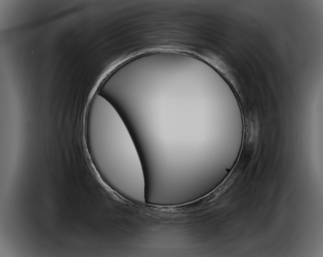 X0000086721006200704130724