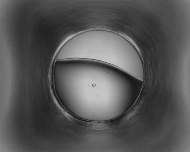 X0000086721007200704130724