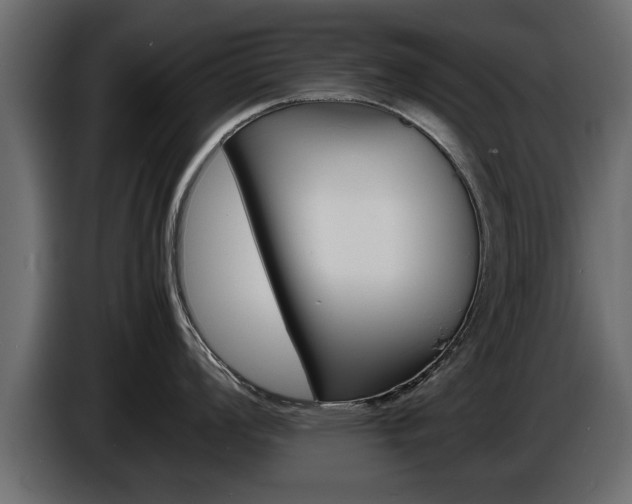 X0000086721008200704130724
