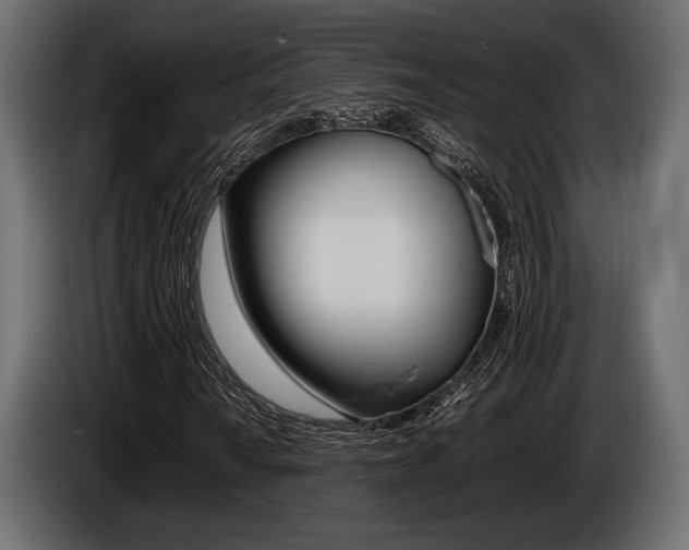 X0000086721010200704130724