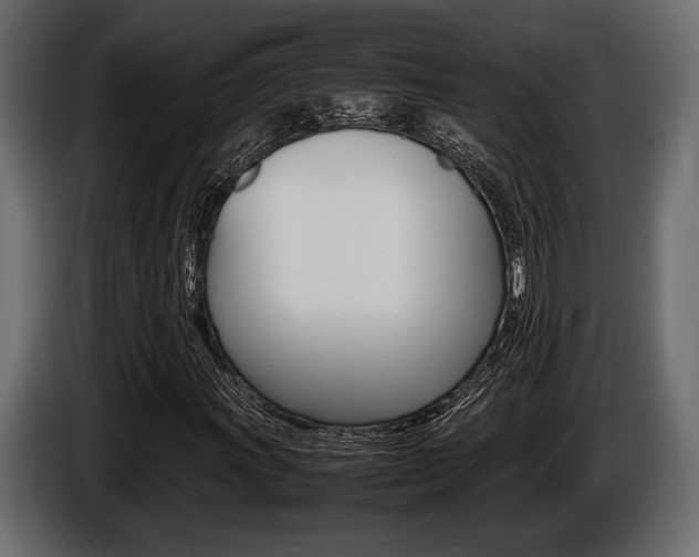 X0000086721011200704130724