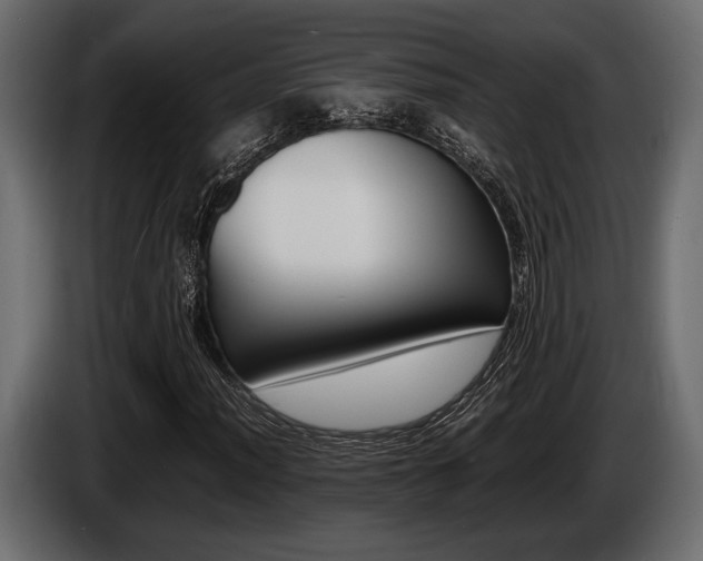 X0000086721012200704130724