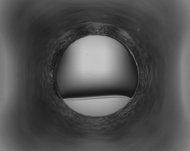 X0000086721013200704130724
