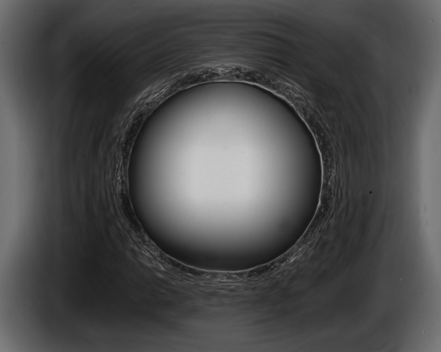 X0000086721014200704130724