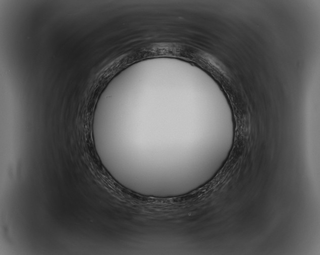 X0000086721015200704130724