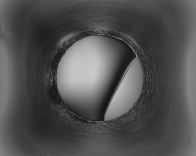 X0000086721016200704130724