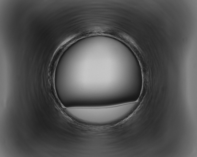 X0000086721018200704130724