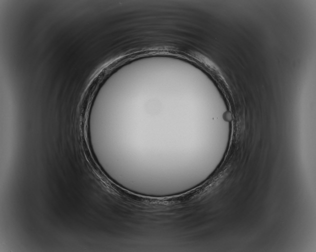 X0000086721019200704130724