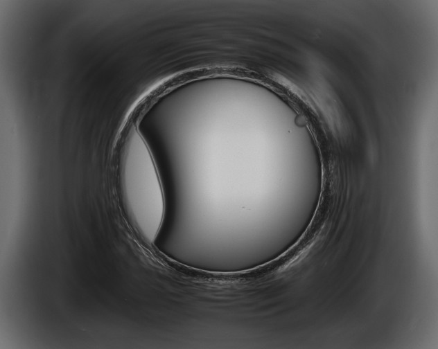 X0000086721021200704130724