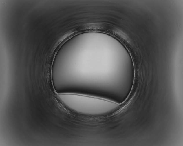 X0000086721025200704130724