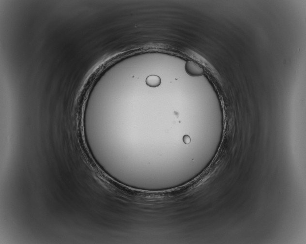 X0000086721027200704130724