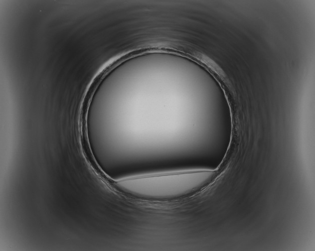 X0000086721028200704130724
