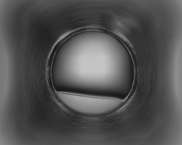 X0000086721029200704130724