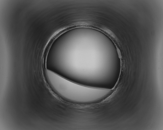 X0000086721030200704130724