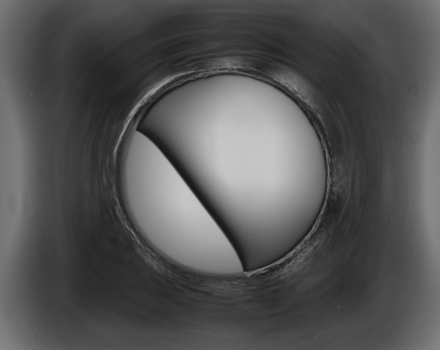X0000086721031200704130724