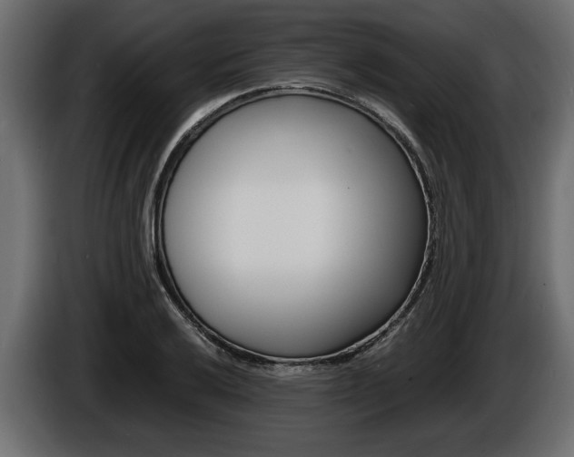 X0000086721032200704130724