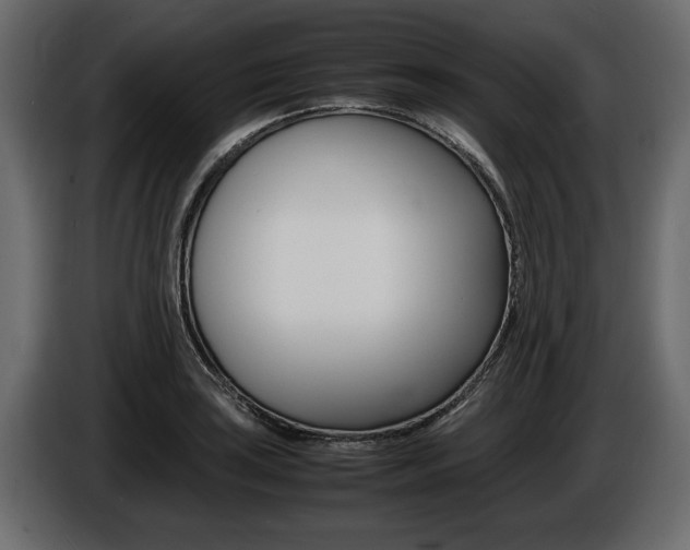X0000086721035200704130724