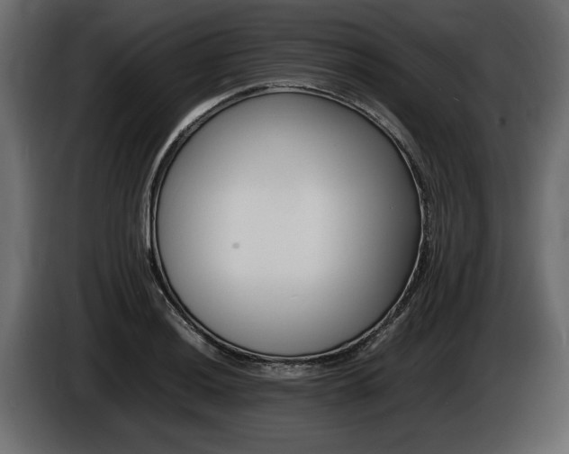 X0000086721036200704130724