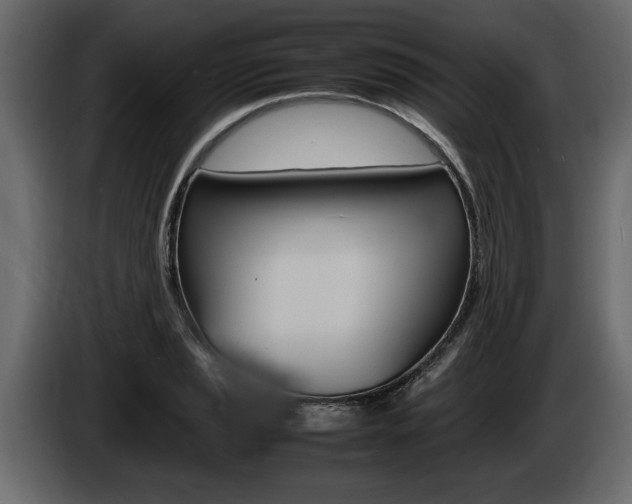 X0000086721037200704130724