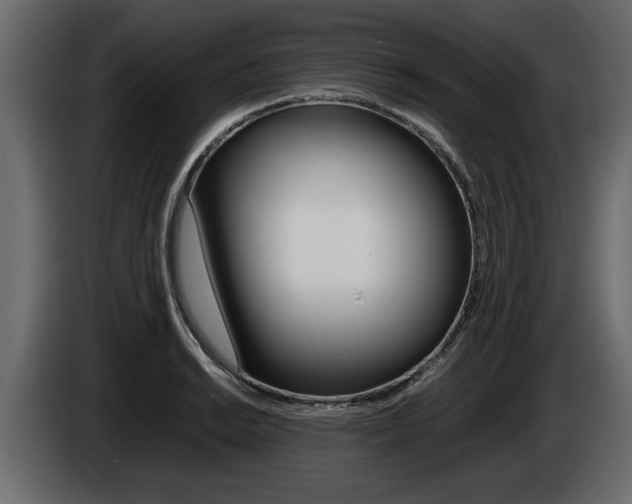 X0000086721038200704130724
