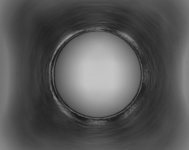 X0000086721039200704130724