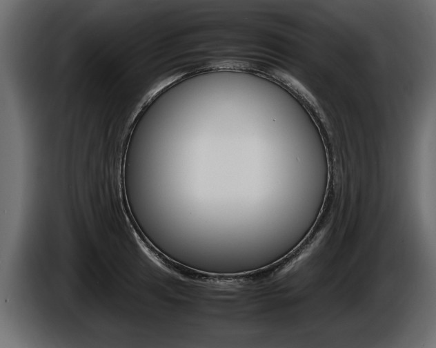 X0000086721041200704130724