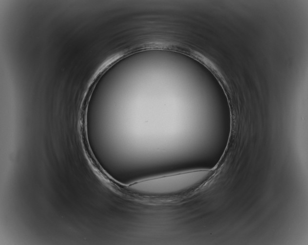 X0000086721042200704130724