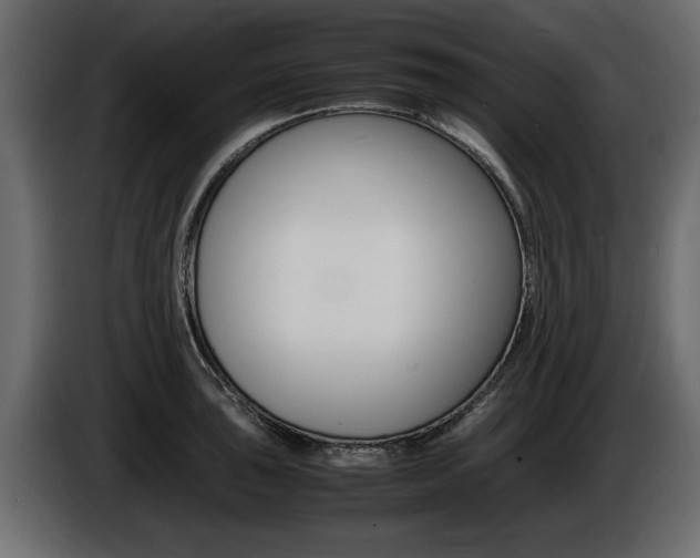 X0000086721043200704130724