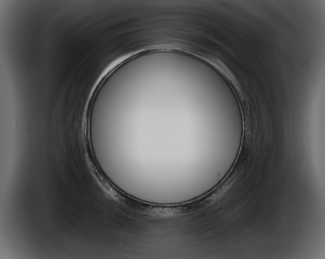 X0000086721044200704130724