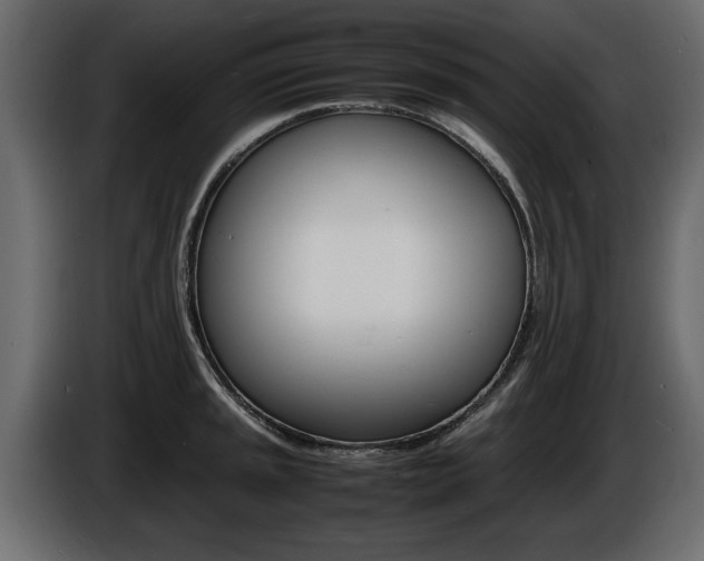X0000086721045200704130724