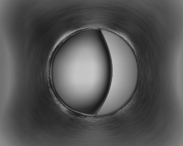 X0000086721046200704130724