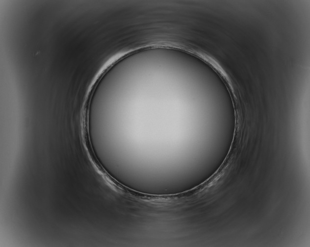 X0000086721048200704130724