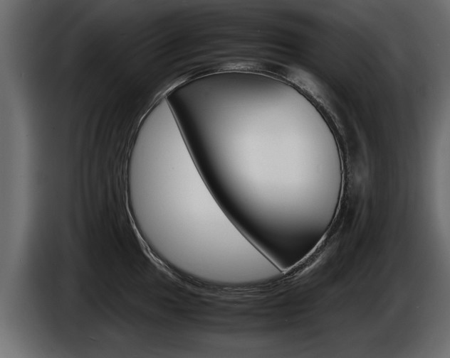 X0000086721049200704130724