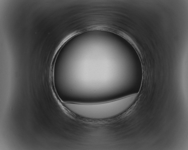 X0000086721050200704130724