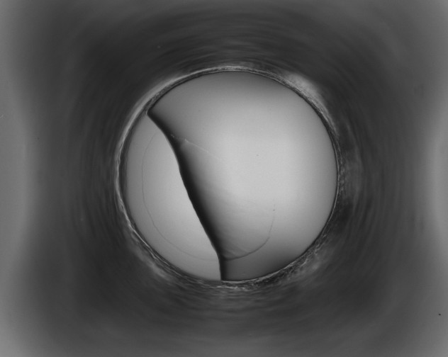 X0000086721051200704130724