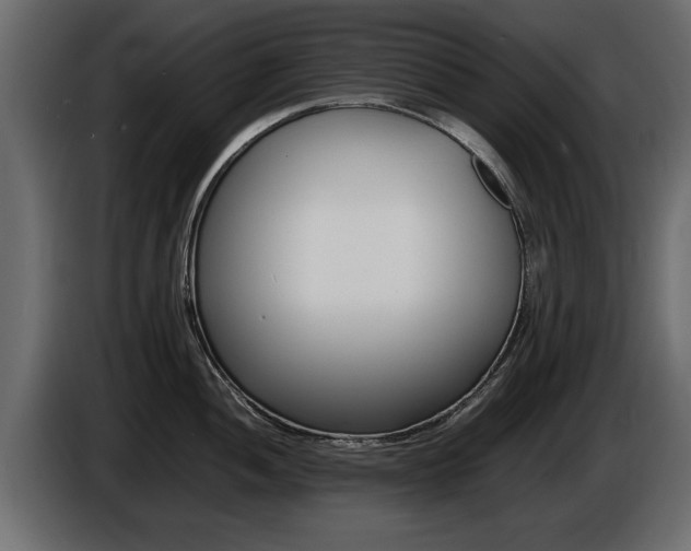 X0000086721052200704130724