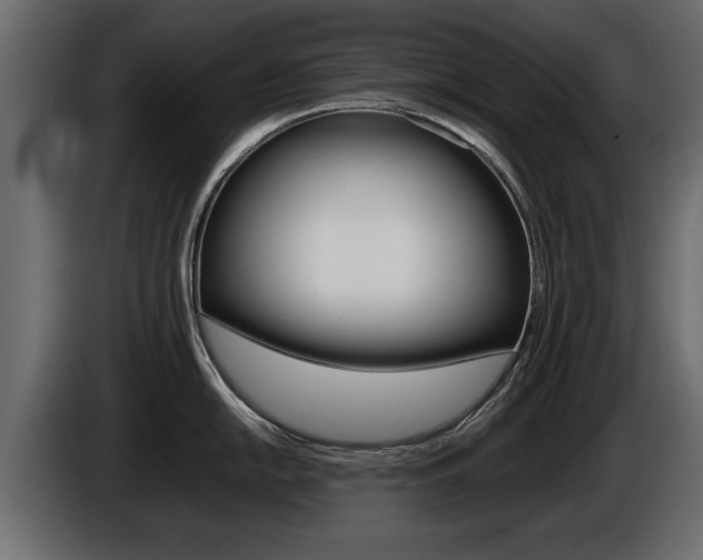 X0000086721054200704130724